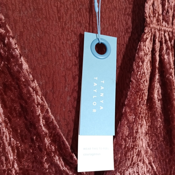 Tanya Taylor Lucy Top Textured Velvet Balloon Sleeves Blouse Rose XL New Nwt - Picture 6 of 9